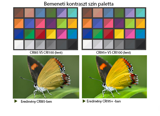 Körvaku színheés 95+ CRI táblázat